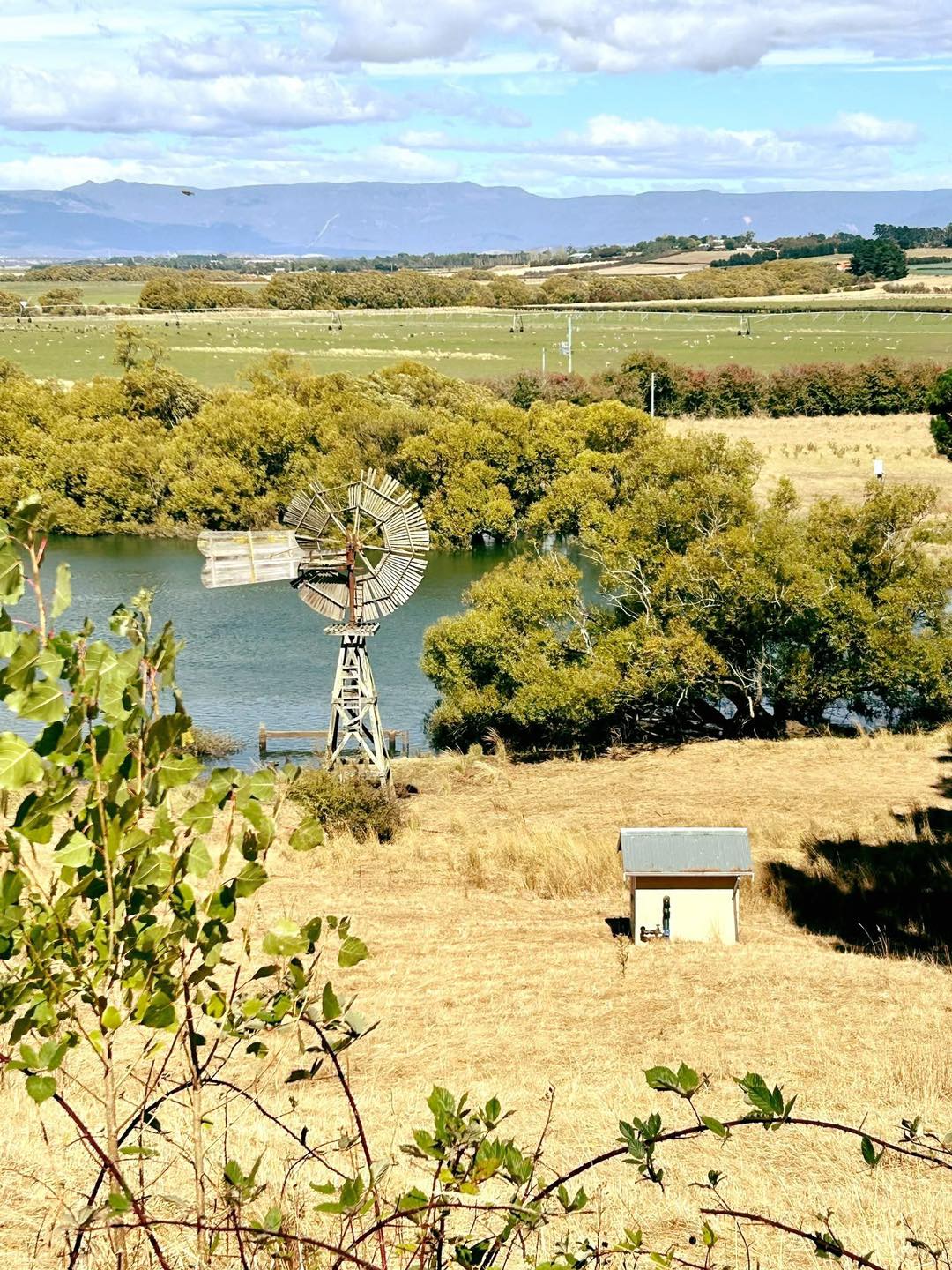 Pump House & Windmill