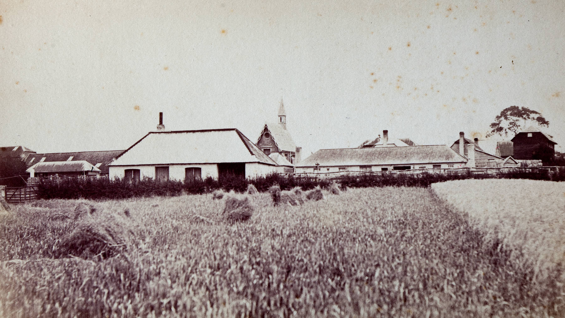 Wool Shed — historic