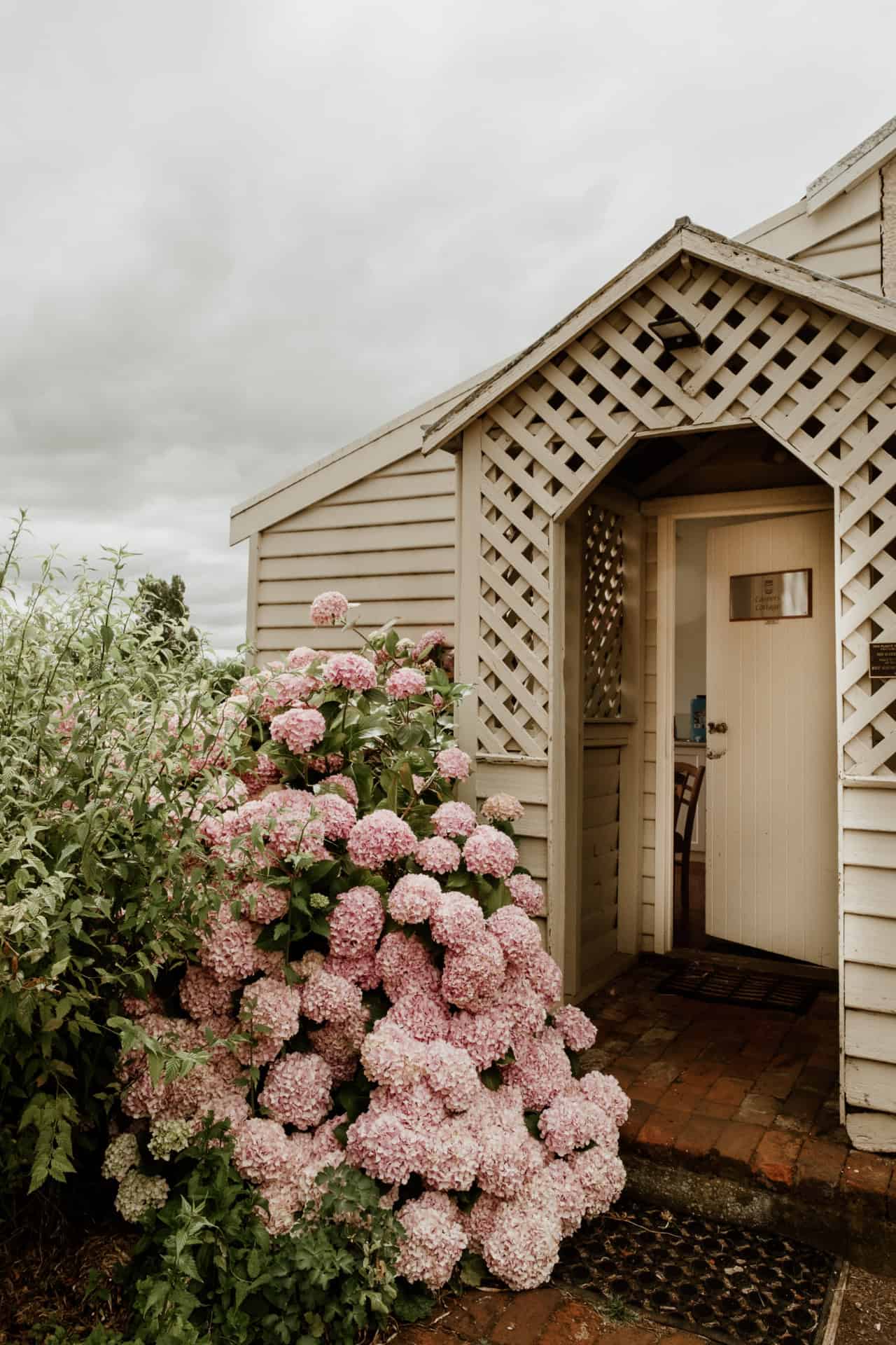 Coopers Cottage entrance with hydrangeas