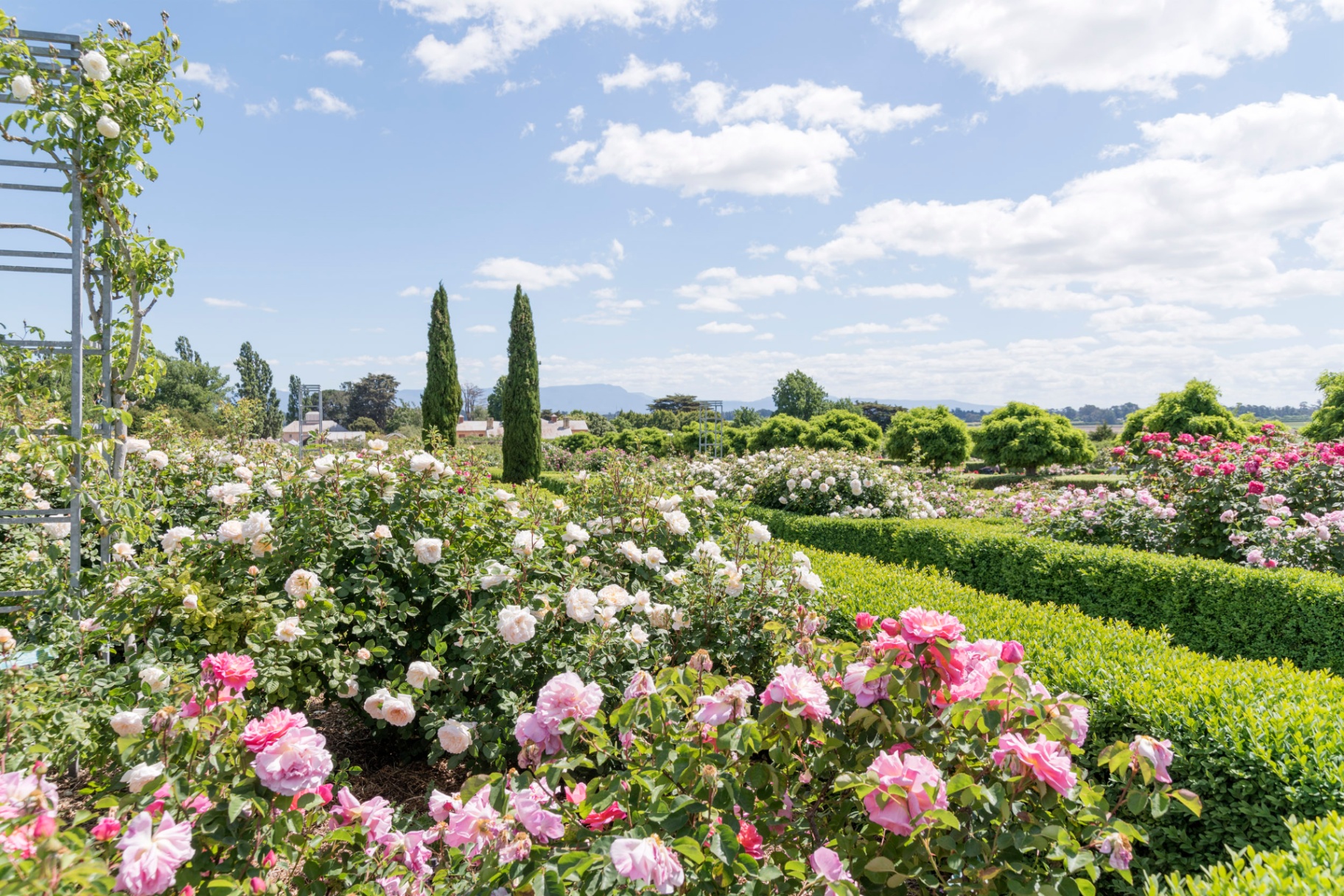 National Rose Garden
