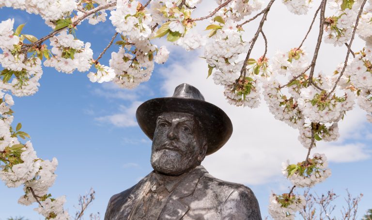 Royal Society of Tasmania: Silent Auction