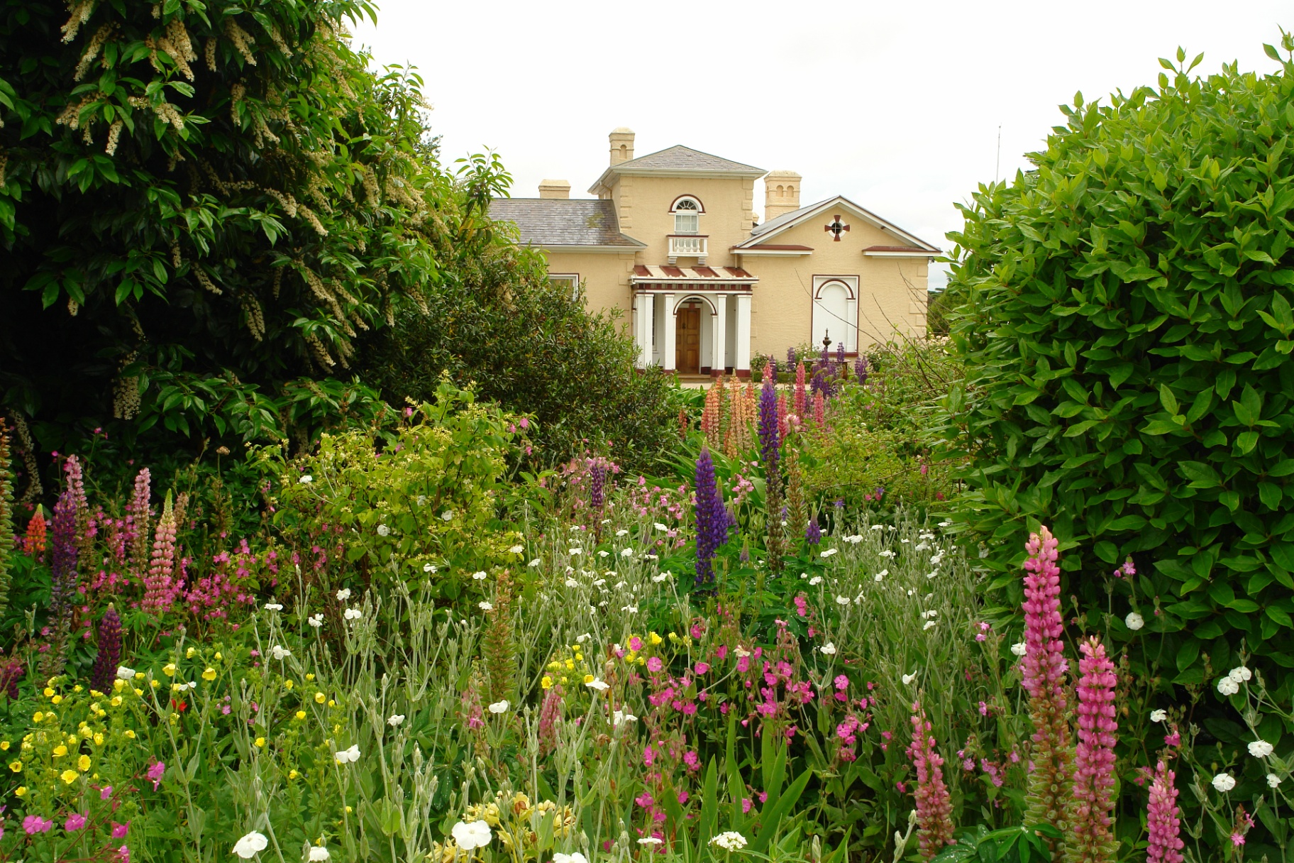 rose-walled-garden-CUJl15bI