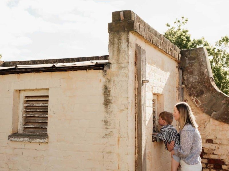 581963055_1253150456843302_5208733377542082342_n