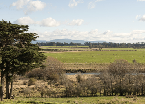 brickendon-estate-grounds-DiAuBA2-