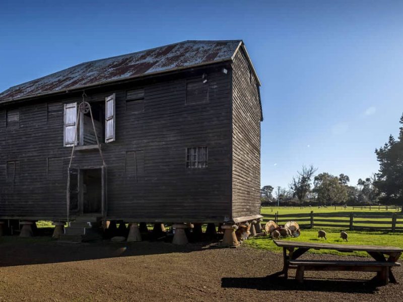 brickendon-estate-historic-grain-store-sheep-paddock-longford-tasmania
