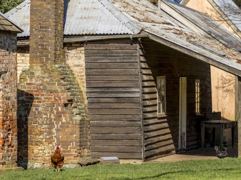 brickendon-farm-village-YOM83dEX