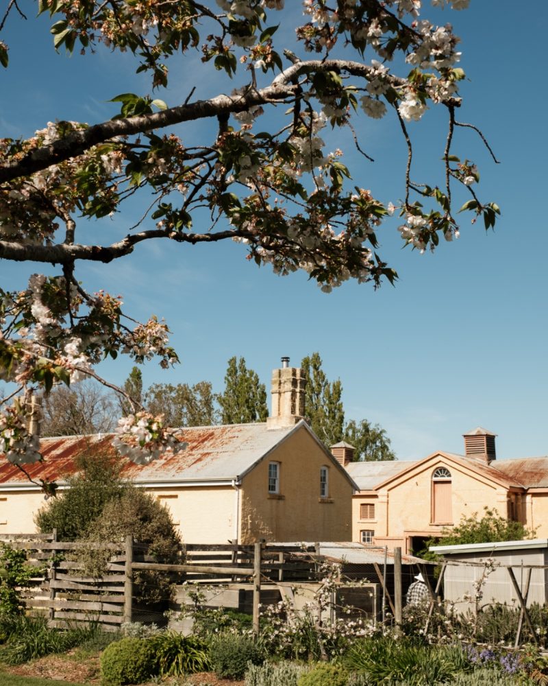 coachmans-cottage-exterior-C3tm-aqT