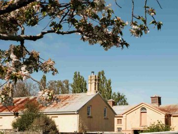 woolmers-estate-coachmans_cottage_exterior_launceston-accommodation