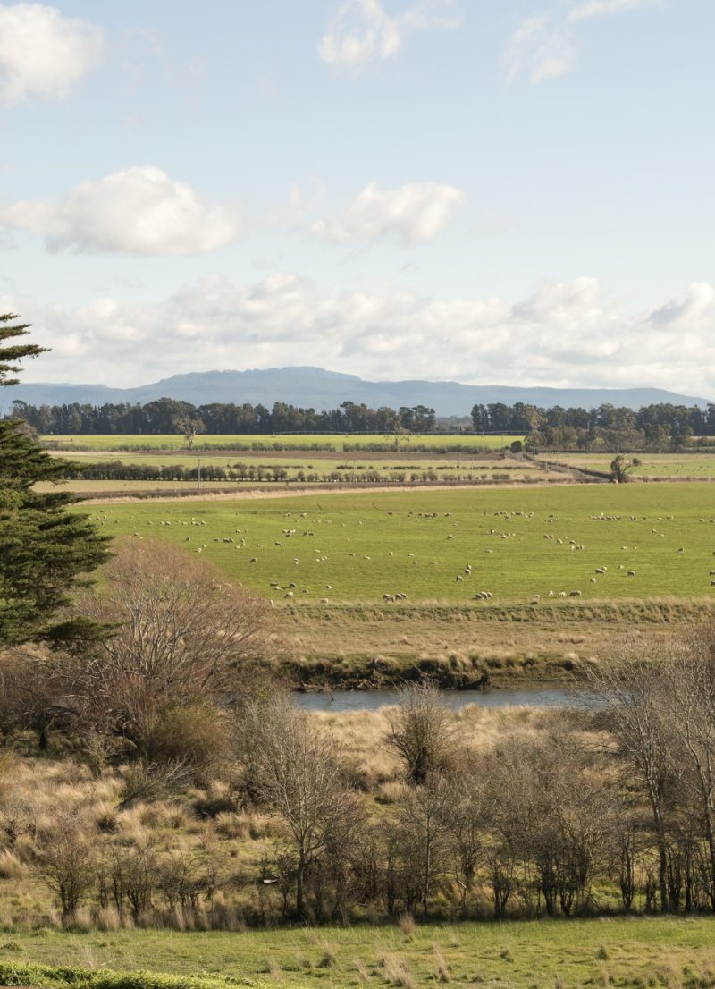 woolmers-estate-landscape-By2NiDe4